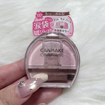 プランぷくコーデアイズ/キャンメイク/パウダーアイシャドウを使ったクチコミ(3枚目)