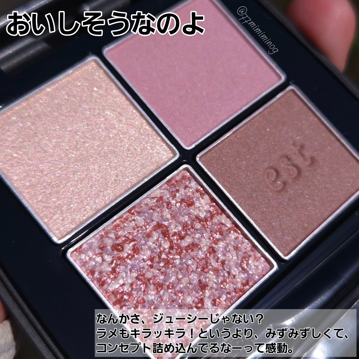 エスト トランスフィア アイカラー/est/アイシャドウパレットを使ったクチコミ（2枚目）