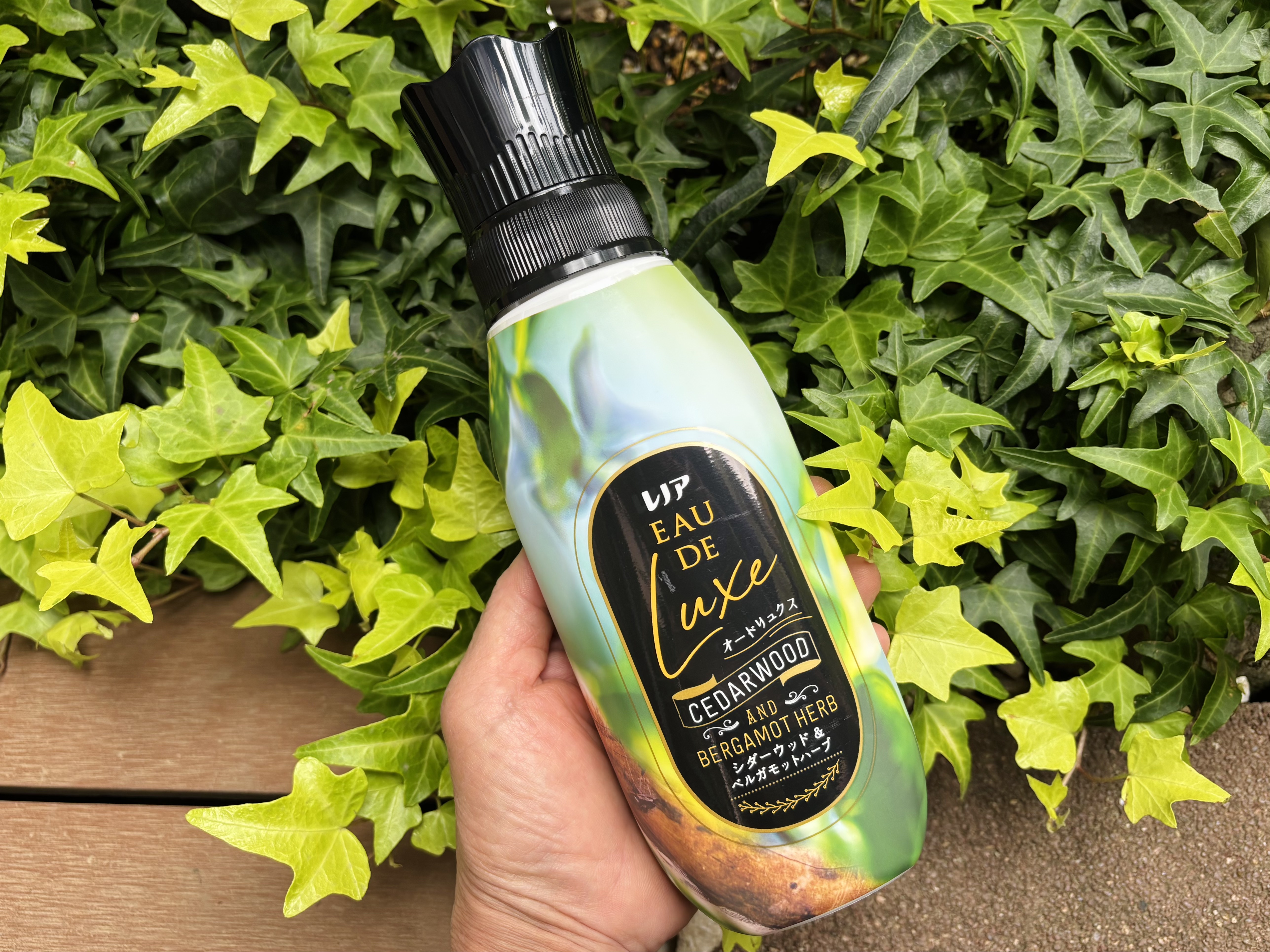 レノア オードリュクス　シダーウッド＆ベルガモットハーブの香り/レノア/柔軟剤を使ったクチコミ（1枚目）