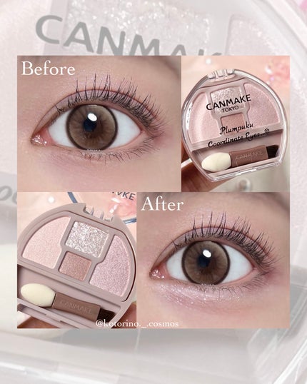 プランぷくコーデアイズ/キャンメイク/パウダーアイシャドウを使ったクチコミ(4枚目)