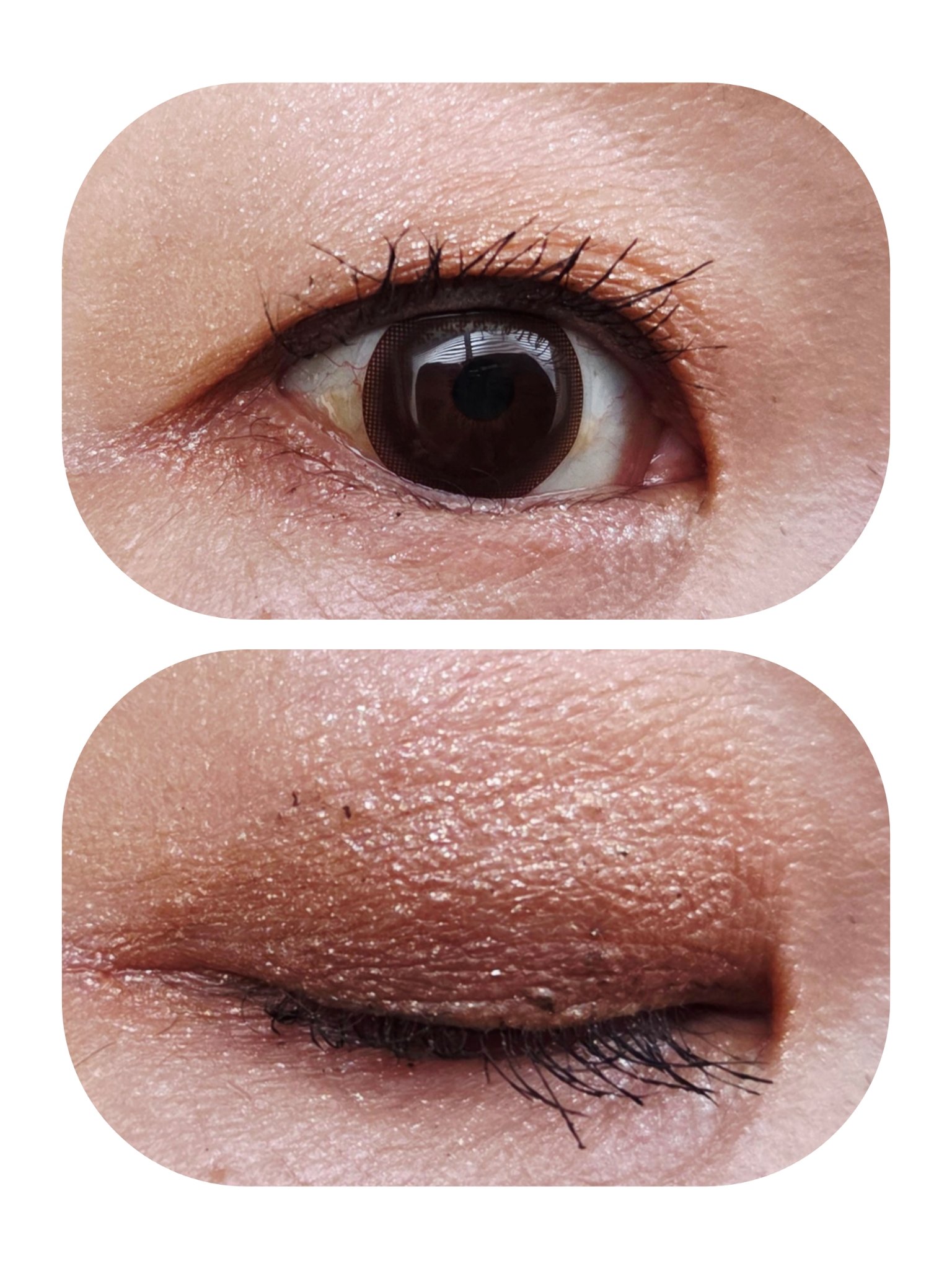 ルナソル アイカラーレーションN 15 キット/LUNASOL/メイクアップキットを使ったクチコミ（3枚目）