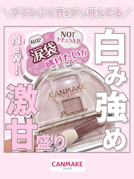 キャンメイク プランぷくコーデアイズNeoのクチコミ「【やっと涙袋ガチ勢が納得するプランぷくが出てきた…】
◎キャンメイク
 プランぷくコーデ.....」(1枚目)