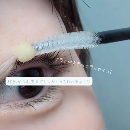 を使ったクチコミ(3枚目)