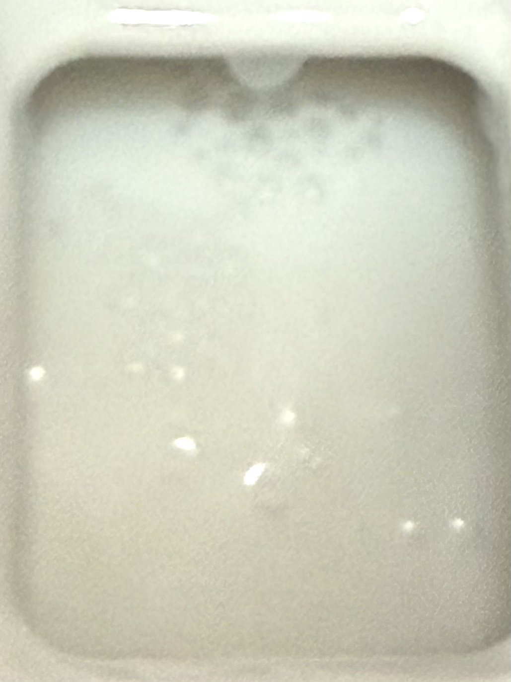 アロマリッチ サラ/ソフラン/柔軟剤を使ったクチコミ（2枚目）