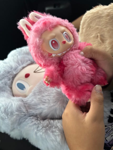 THE MONSTERS Big into Energy シリーズ ぬいぐるみペンダント/POP MART/その他を使ったクチコミ(2枚目)