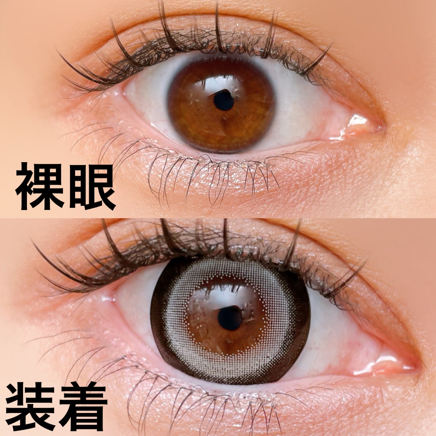 Dustity/Dustity/ワンデー(1DAY)カラコンを使ったクチコミ(3枚目)