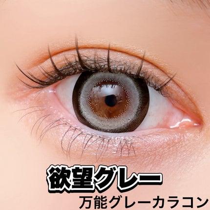 Dustity 欲望グレー/Dustity/ワンデー(1DAY)カラコンの画像