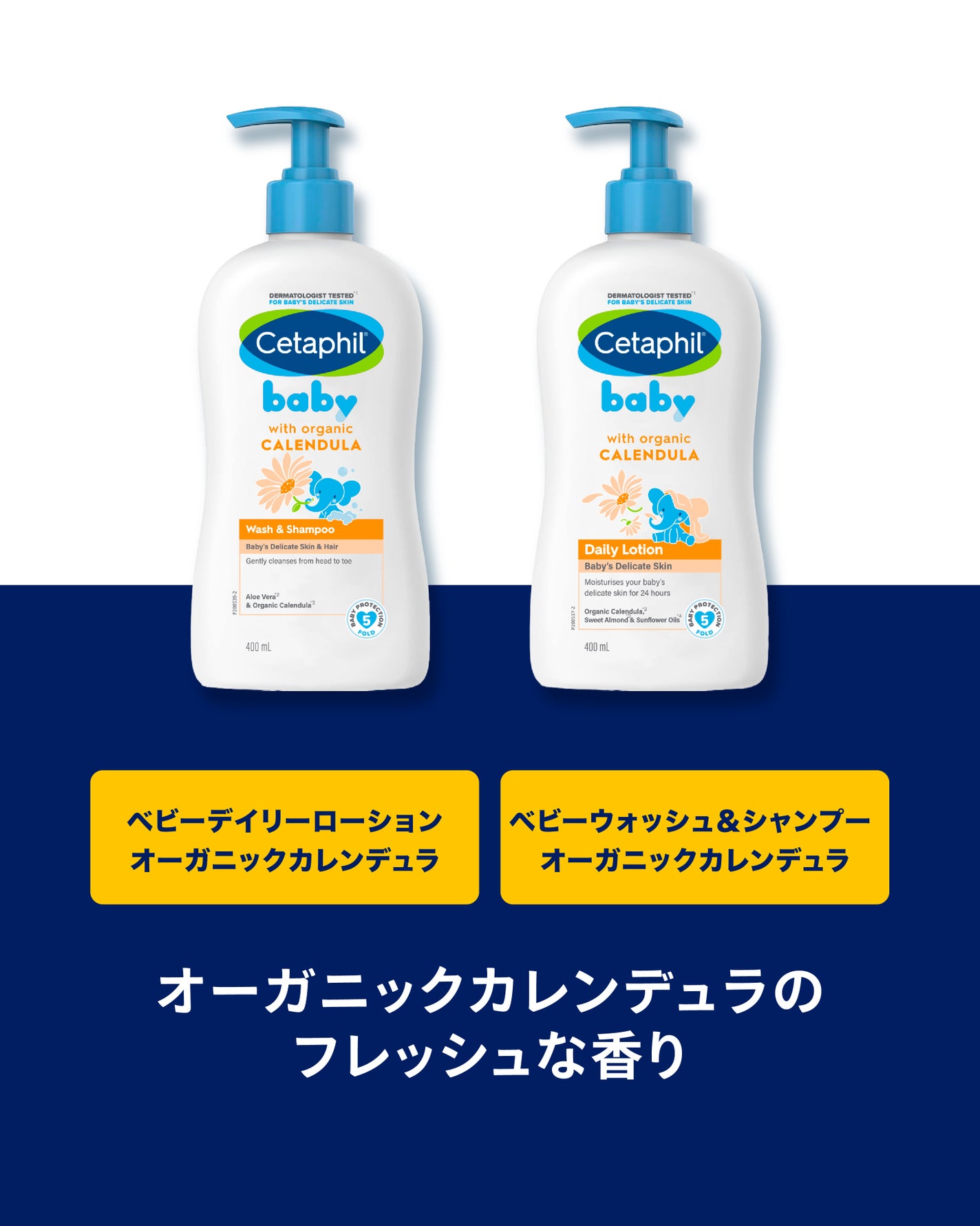 【公式】セタフィル on LIPS 「LIPSのみなさん、こんにちは👶🫧\新生児からお使いいただける..」(3枚目)