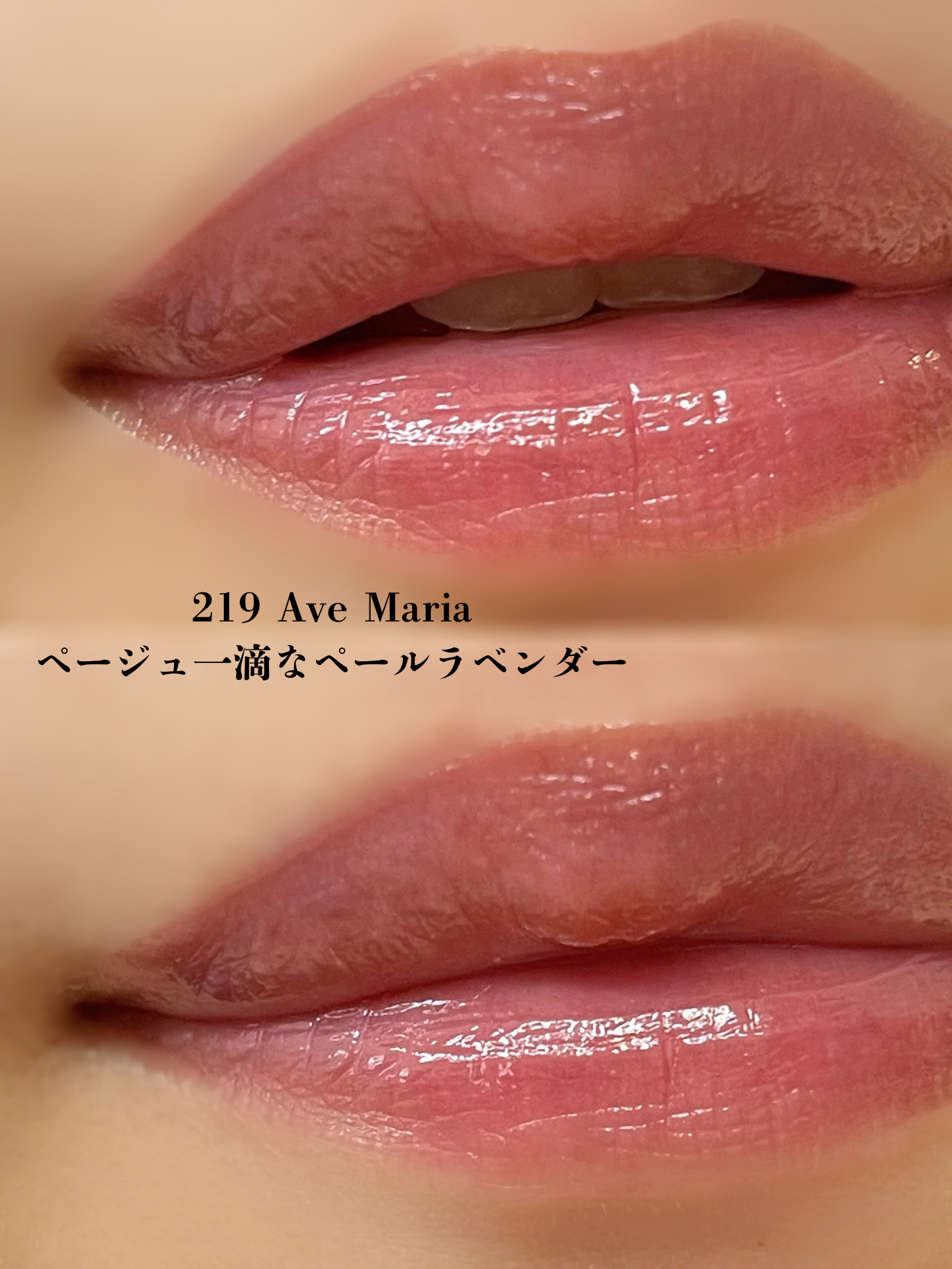 ブラーグロイリップティント 219/Dinto/リップティントを使ったクチコミ（2枚目）