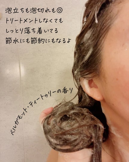 PPTコラーゲン&シルクシャンプー 脂性肌~普通肌用(ふんわり)/aina beauté/シャンプー・コンディショナーを使ったクチコミ(5枚目)