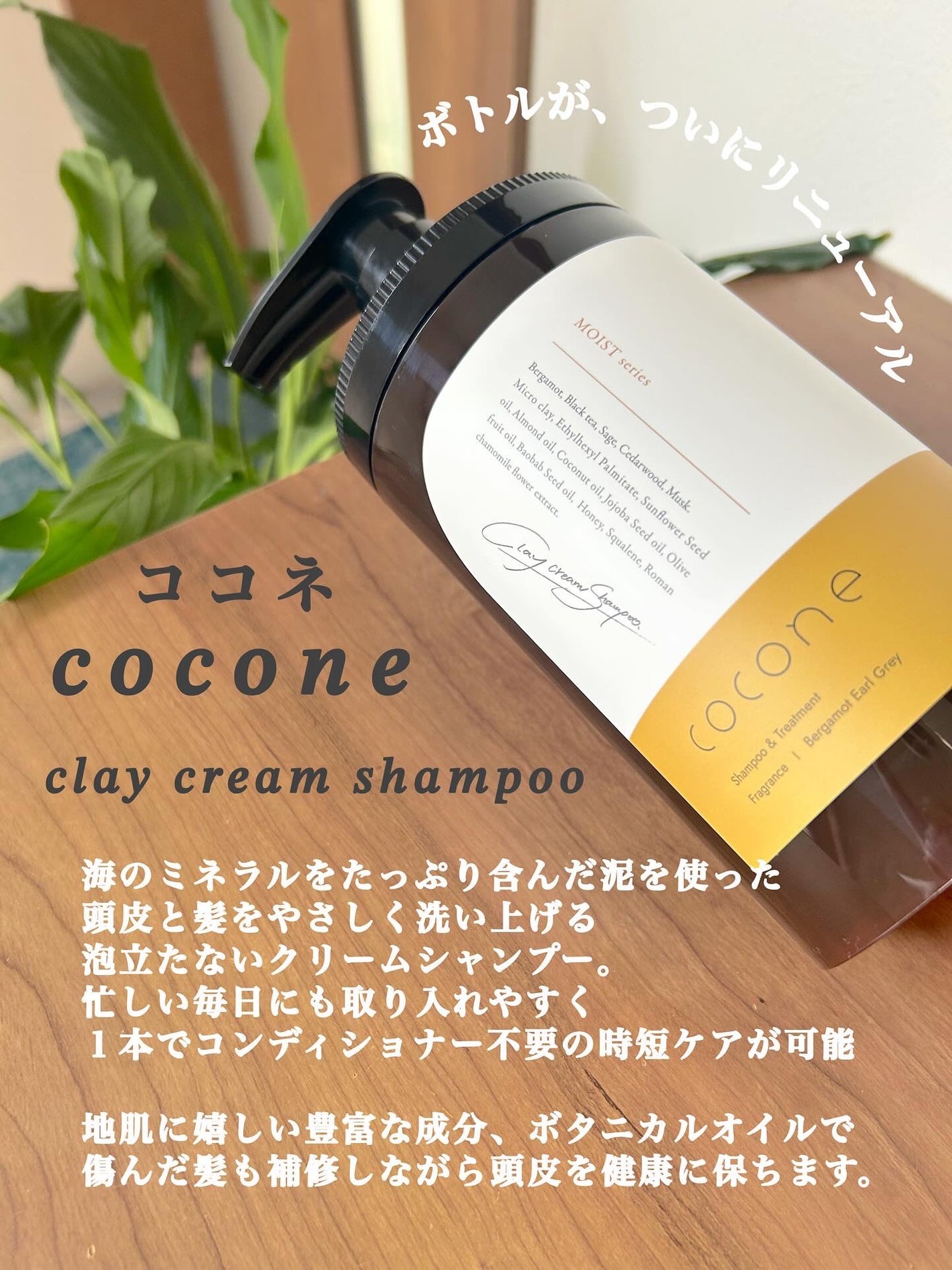 クレイクリームシャンプー(モイスト)/cocone/市販シャンプーを使ったクチコミ(2枚目)