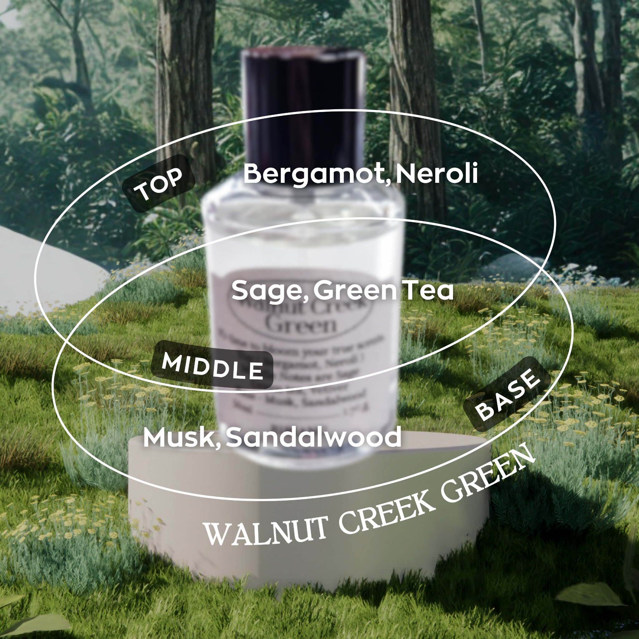 オードパルファム/BiBiANG/香水(レディース)を使ったクチコミ（3枚目）