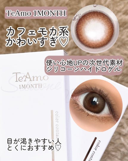 TeAmo 1month フィオラモカ/TeAmo/1ヶ月(1MONTH)カラコンの画像