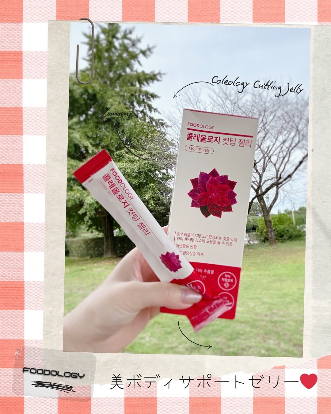 コレオロジーカットゼリー/FOODOLOGY/食品を使ったクチコミ(1枚目)