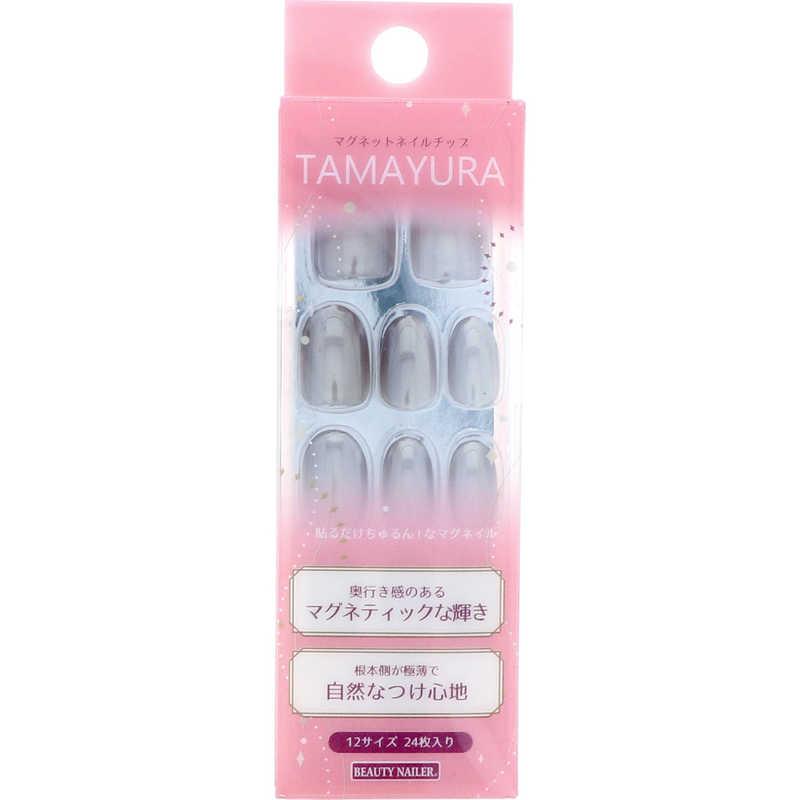 マグネットチップ TY-3