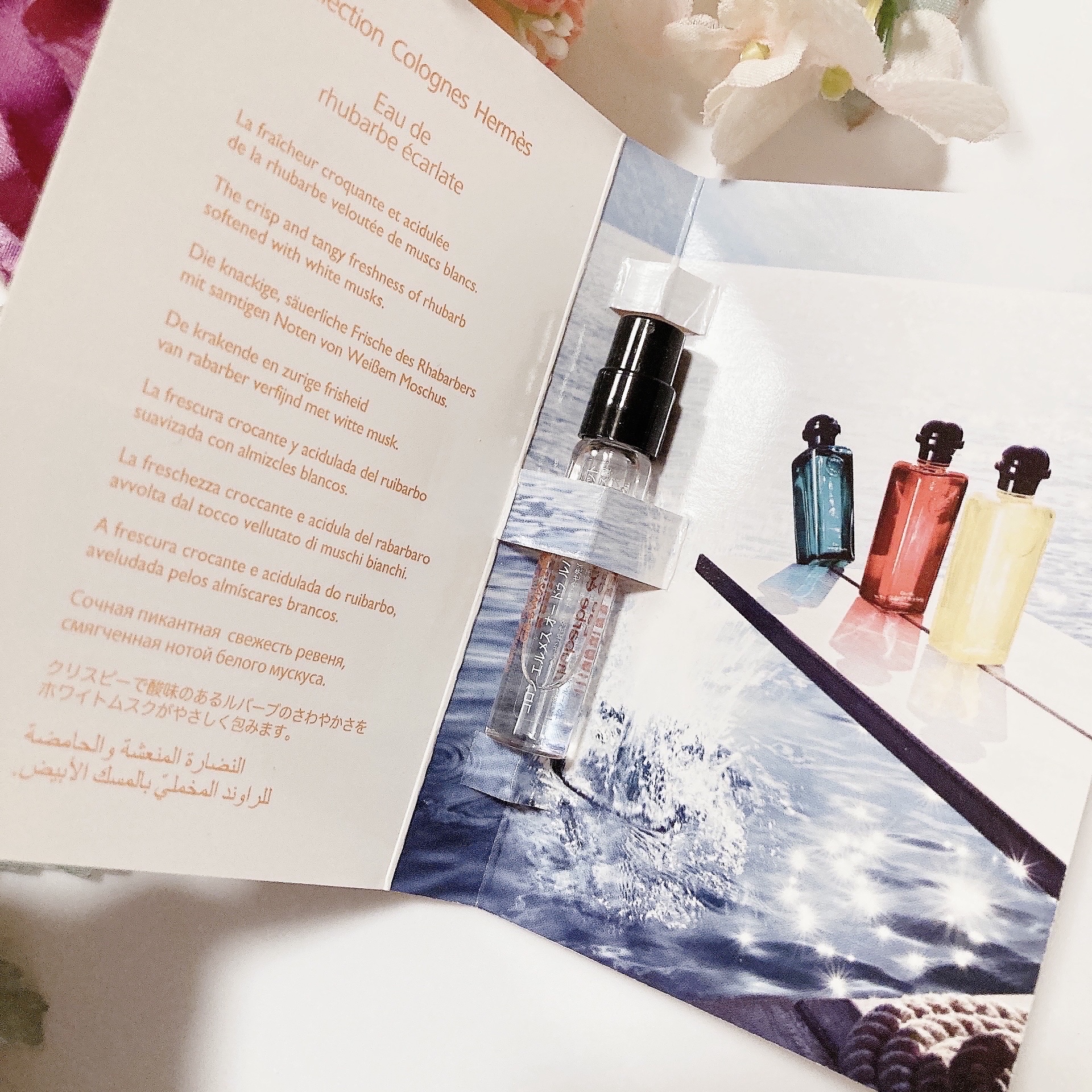 試してみた】エルメス オー デ コロン 《オー ドゥ ルバーブ