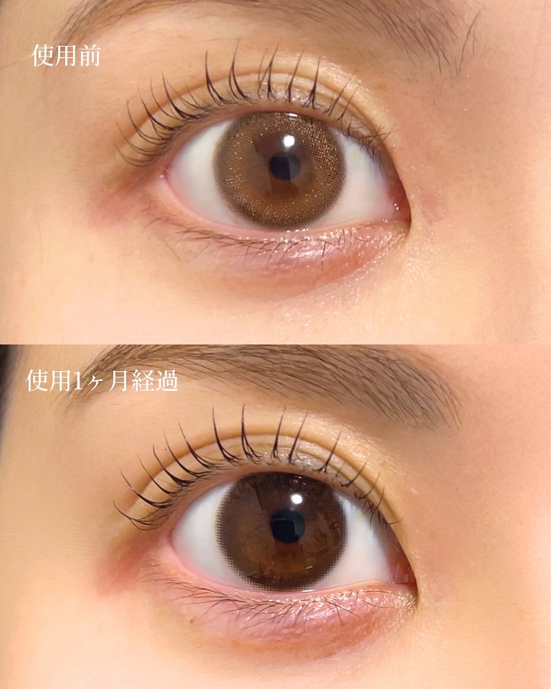 湘南美容まつ毛美容液PREMIUM/湘南美容/まつげ美容液を使ったクチコミ（3枚目）
