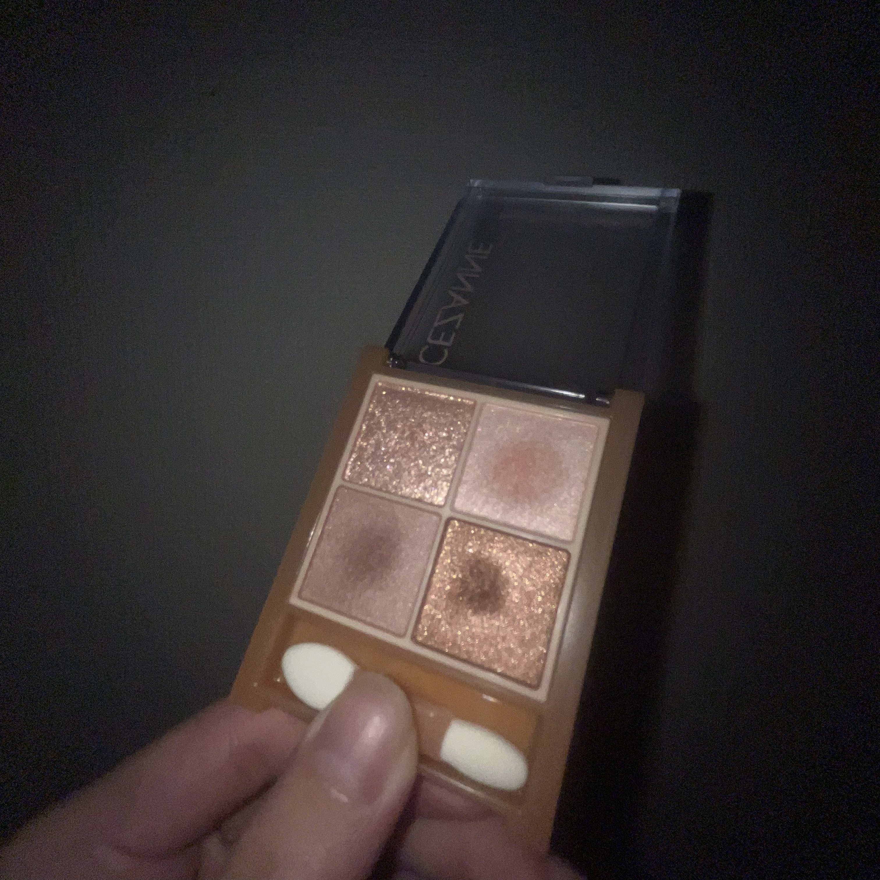 グリッターペディアアイパレット/unleashia/アイシャドウパレットを使ったクチコミ（1枚目）