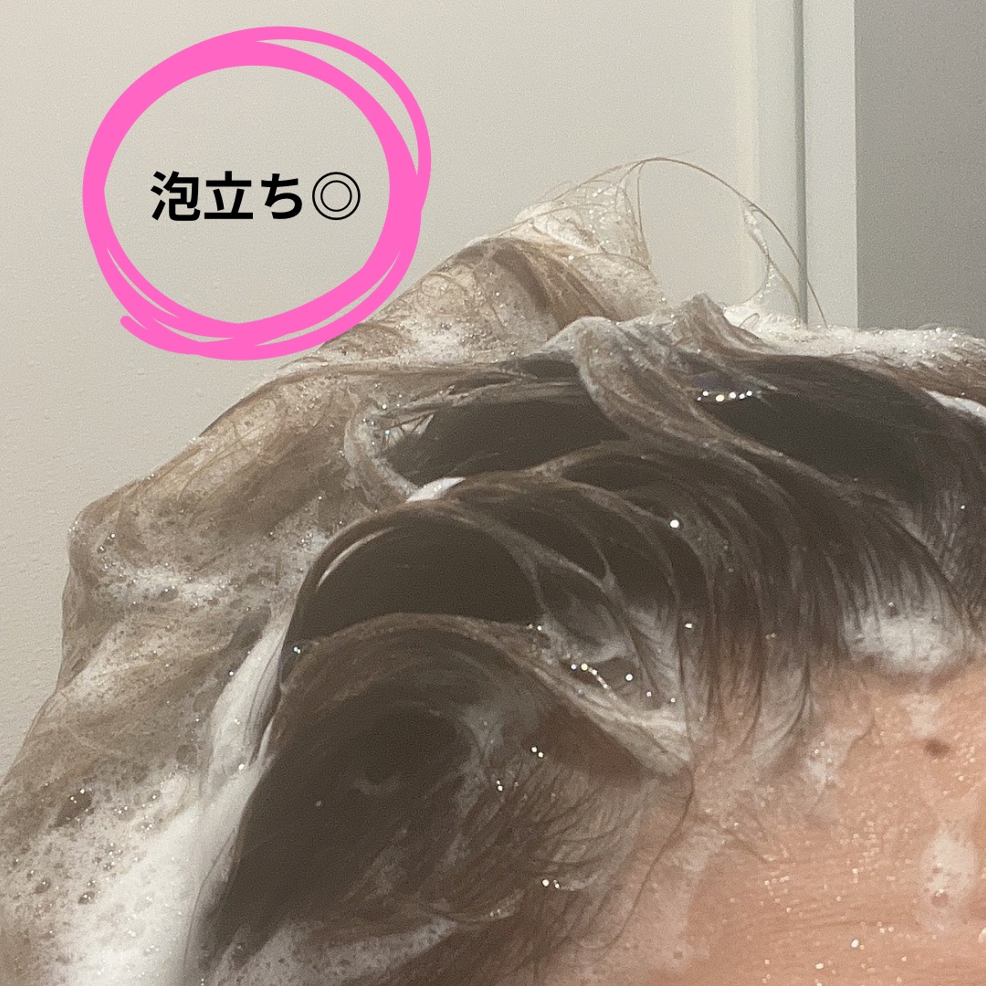 ストレートシャンプー/ストレートトリートメント ホワイトブロッサムの香り/Straine/市販シャンプーを使ったクチコミ（3枚目）