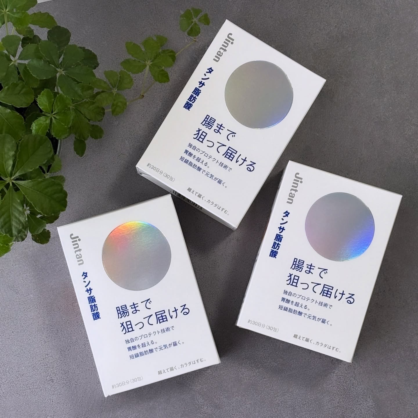 ジンタン タンサ脂肪酸/森下仁丹/健康サプリメントを使ったクチコミ（2枚目）