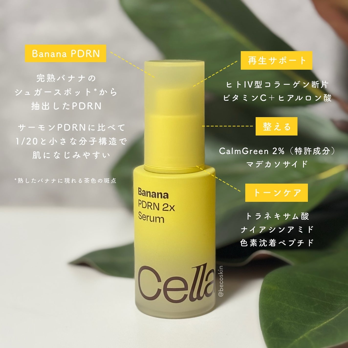バナナ PDRN 2X セラム/Celladix/美容液を使ったクチコミ(2枚目)