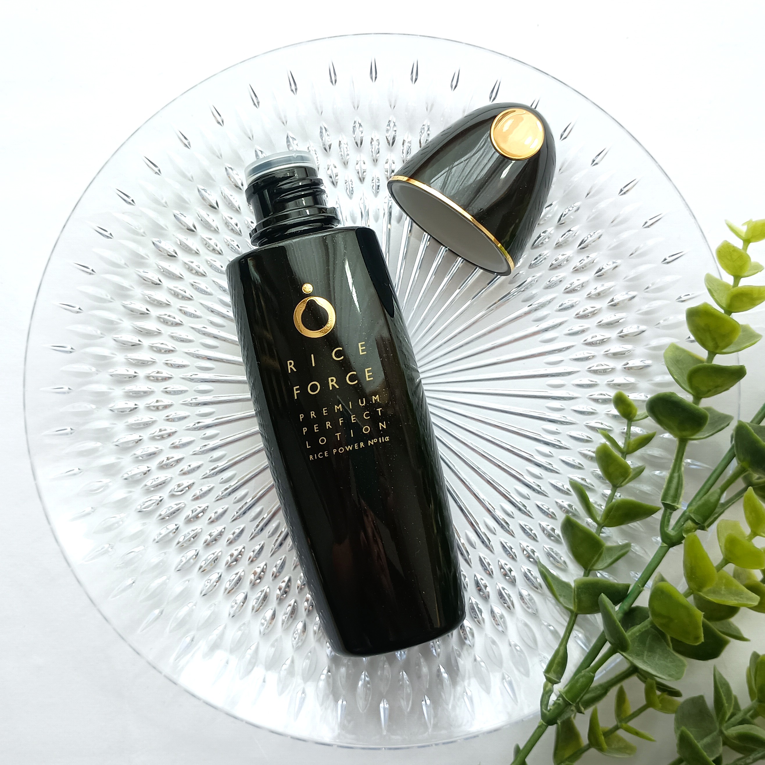 プレミアムパーフェクトローション/ライスフォース/化粧水を使ったクチコミ（2枚目）