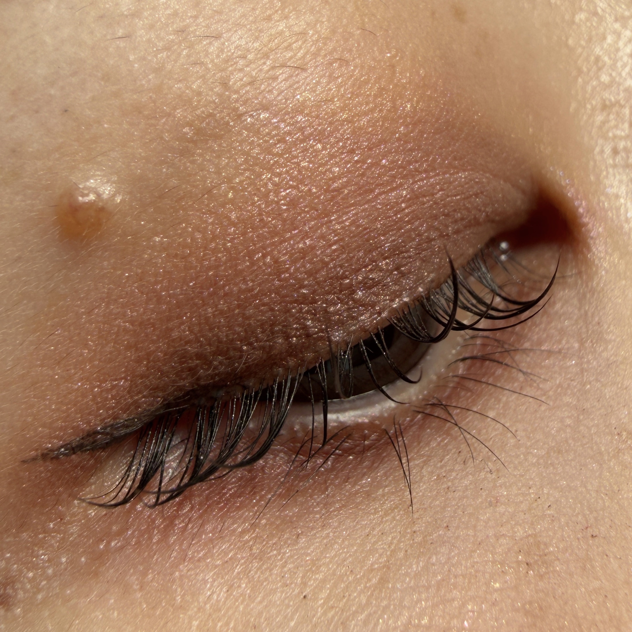 オッドバランスアイパレット/TWO SLASH FOUR/アイシャドウパレットを使ったクチコミ（3枚目）