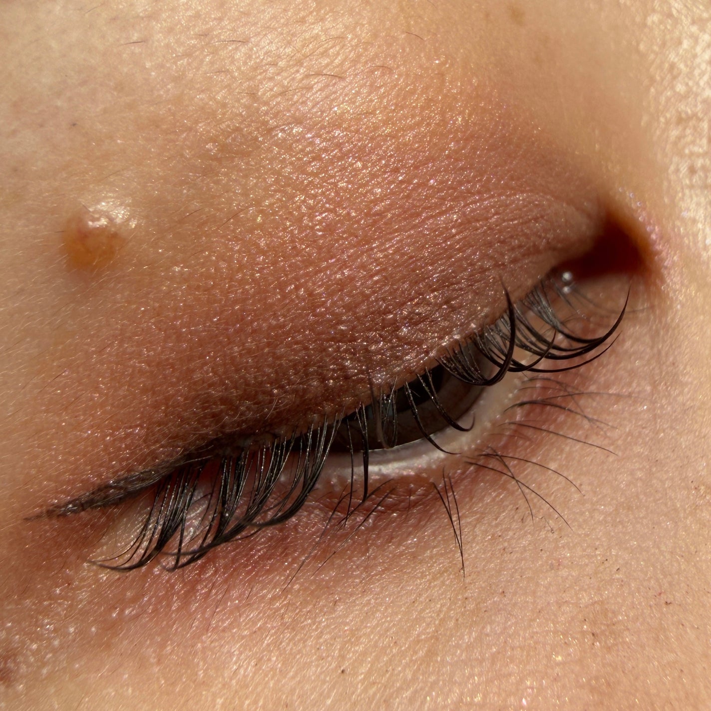 オッドバランスアイパレット/TWO SLASH FOUR/アイシャドウパレットを使ったクチコミ(3枚目)