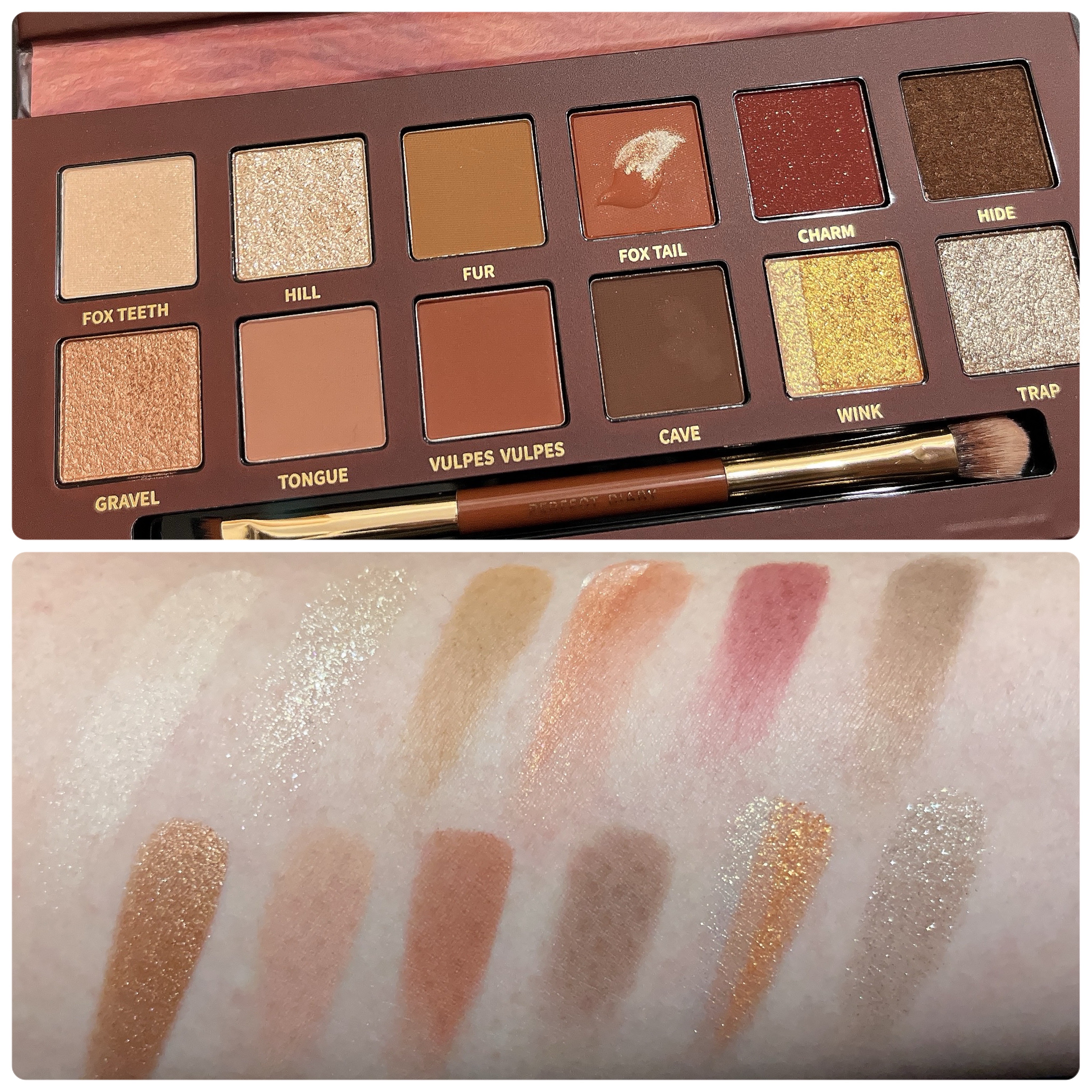 エクスプローラ12色 動物アイシャドウパレット/PERFECT DIARY/アイシャドウパレットを使ったクチコミ（2枚目）