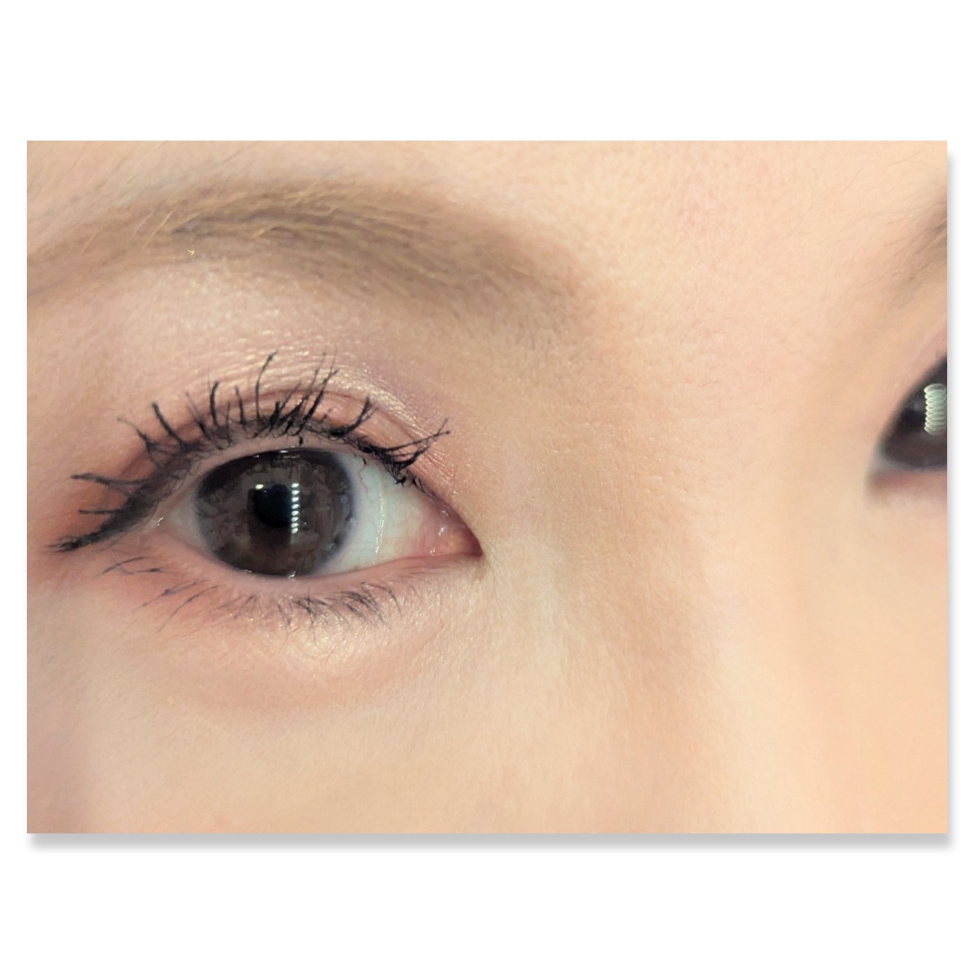 ニュアンス デューイ クリエイター/Visée/アイシャドウパレットを使ったクチコミ（2枚目）