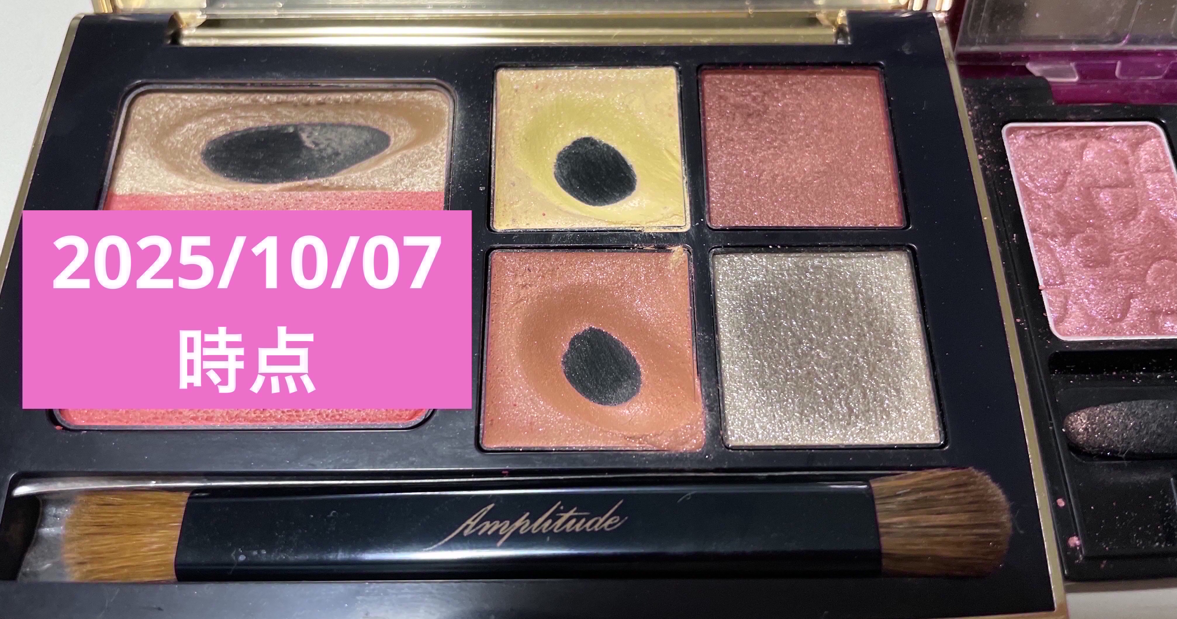 コンスピキュアス アイズ/Amplitude/アイシャドウパレットを使ったクチコミ（1枚目）