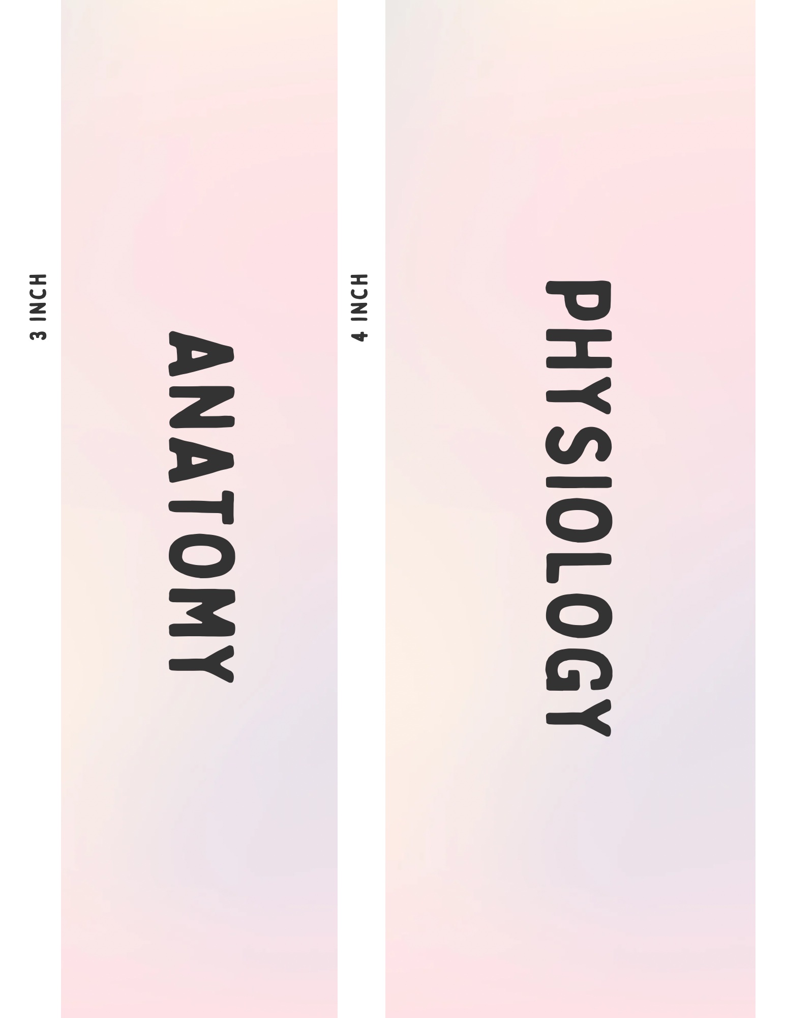 ノーズ＆アイブロウパウダー 04 モーヴブラウン/CEZANNE/パウダーアイブロウを使ったクチコミ（2枚目）