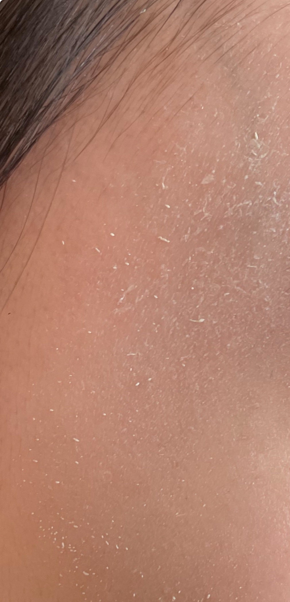 【旧品】パーフェクトスタイリストアイズ/キャンメイク/アイシャドウパレットを使ったクチコミ(3枚目)