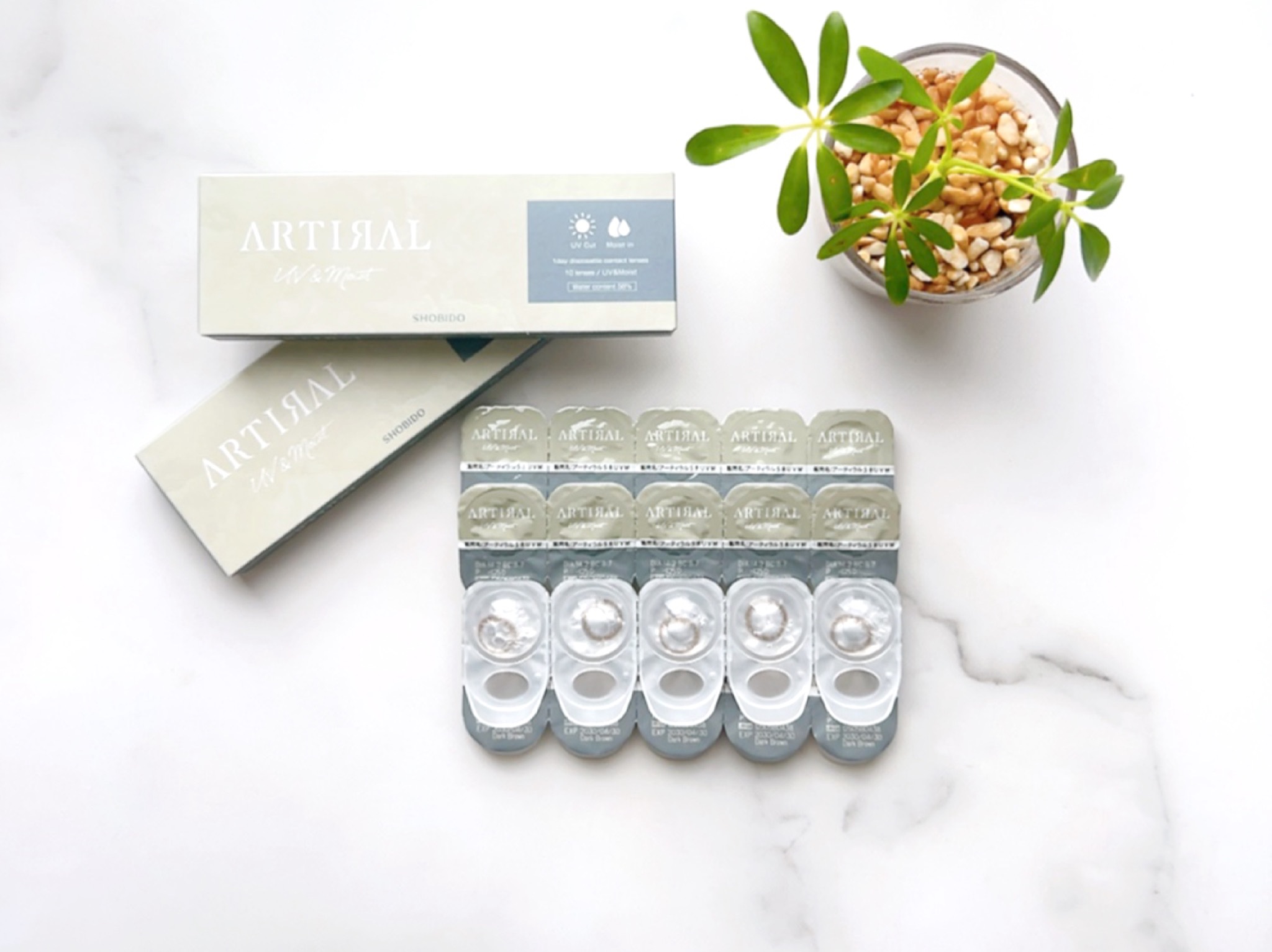 アーティラル 1day UVM 高含水/ARTIRAL/ワンデー（１DAY）カラコンを使ったクチコミ（1枚目）