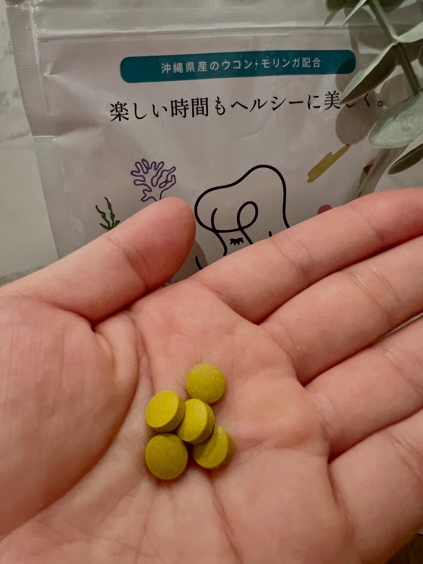 ウコンオトメ/ウコンオトメ/美容サプリメントを使ったクチコミ（1枚目）