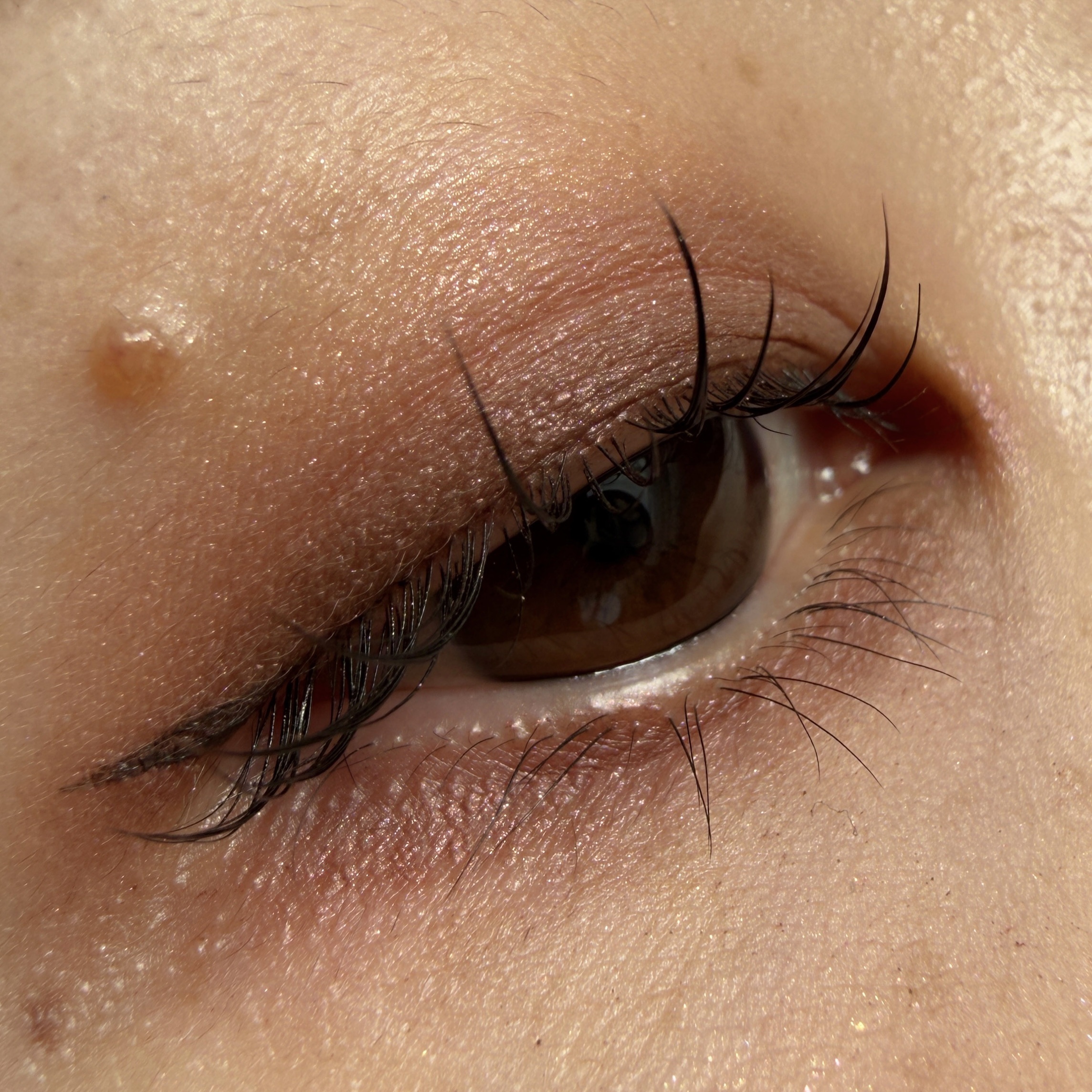 オッドバランスアイパレット/TWO SLASH FOUR/アイシャドウパレットを使ったクチコミ（2枚目）