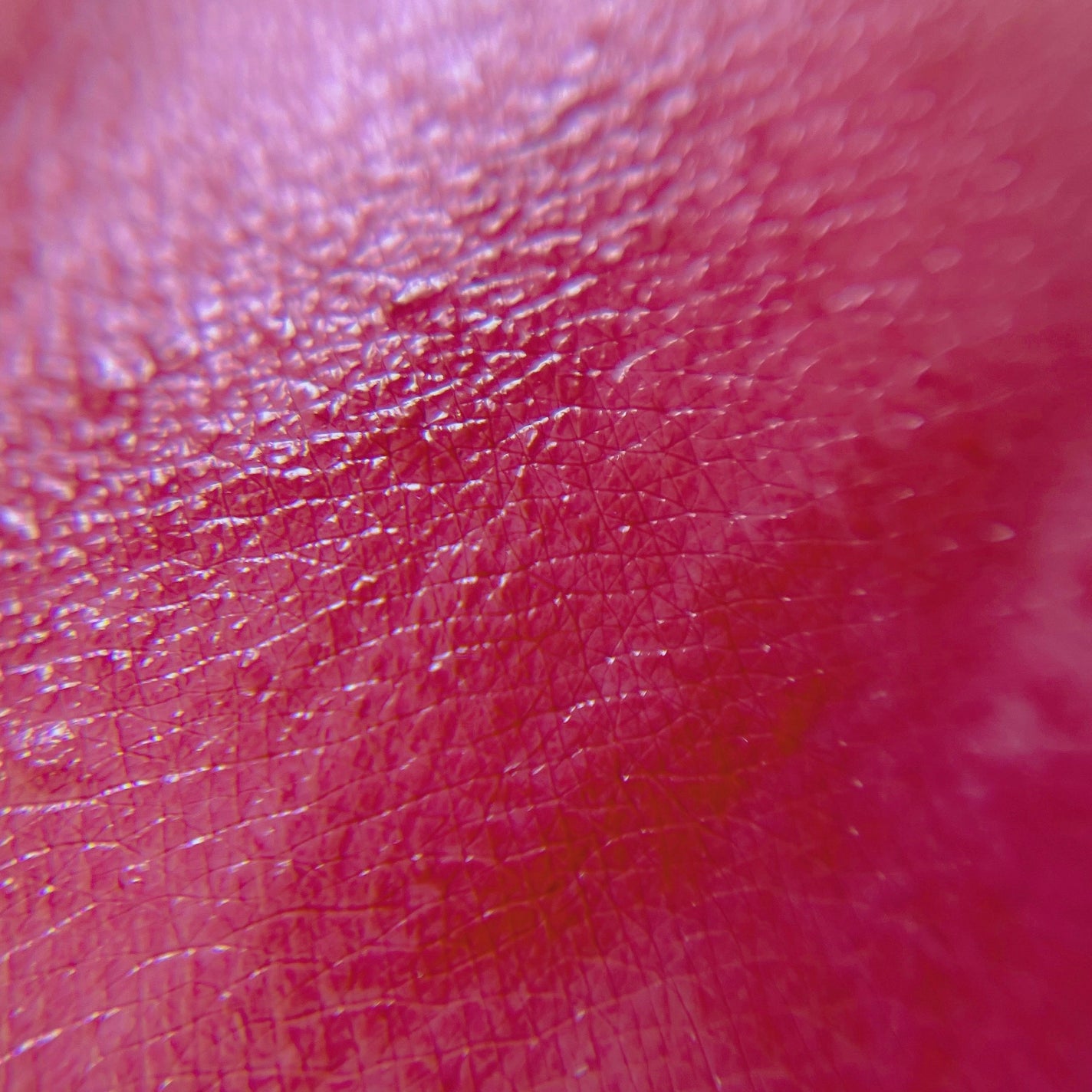 ルージュ クラジュール/Elégance/口紅を使ったクチコミ(9枚目)