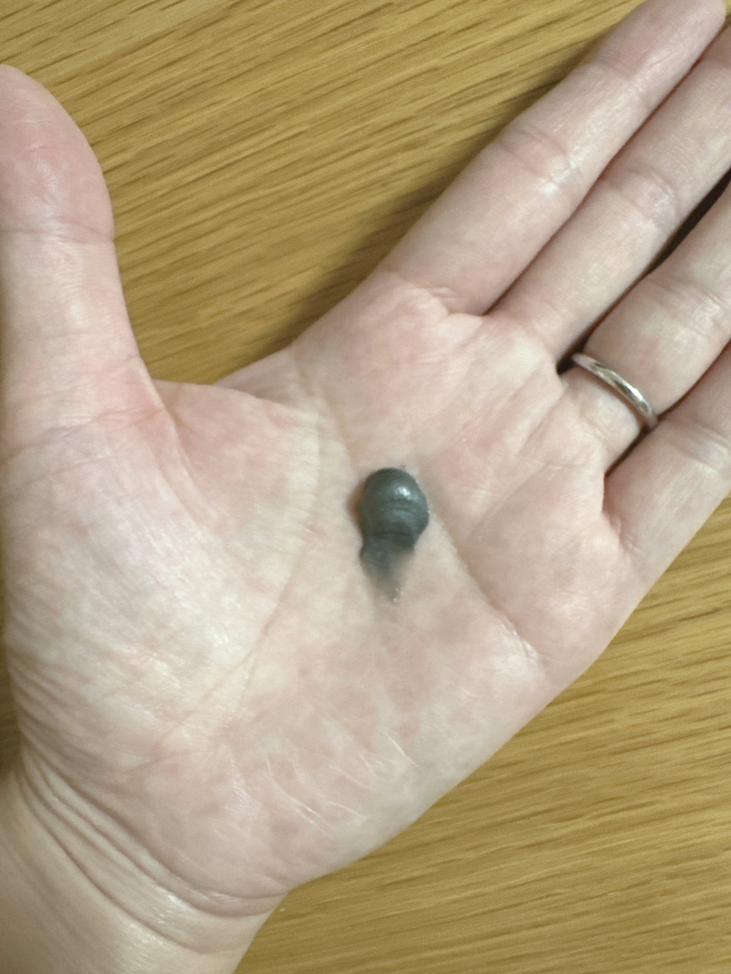 菊炭&酒粕配合 洗顔フォーム/NAIA/洗顔フォームを使ったクチコミ(2枚目)