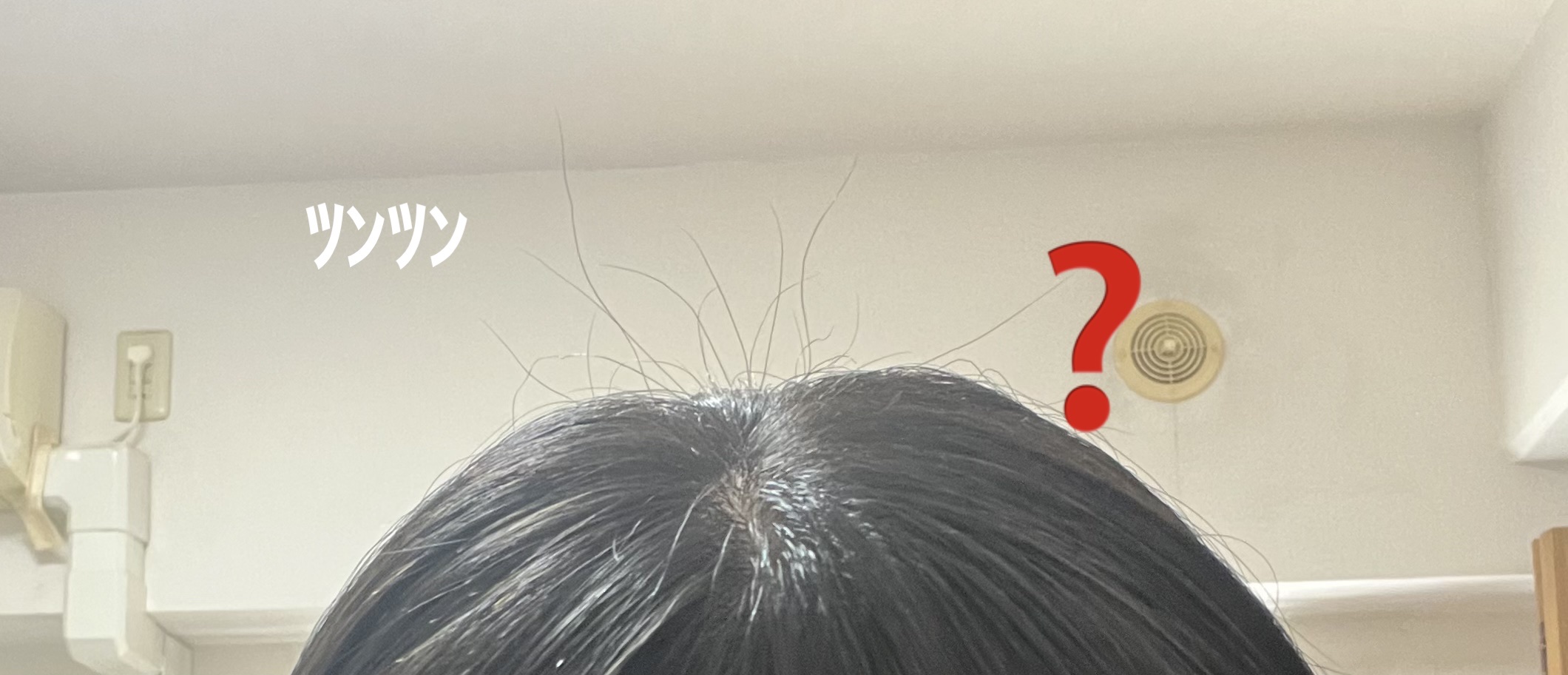 ストレートシャンプー/ストレートトリートメント ホワイトブロッサムの香り/Straine/市販シャンプーを使ったクチコミ（2枚目）