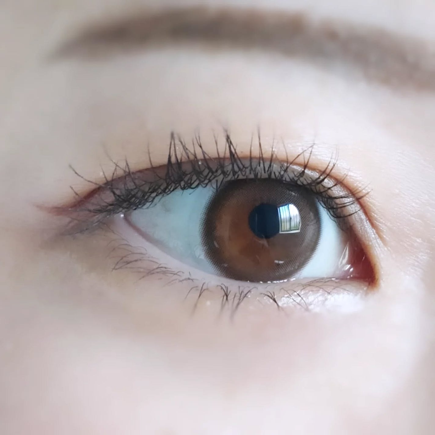 TOPARDS 1day/TOPARDS/ワンデー(1DAY)カラコンを使ったクチコミ(5枚目)