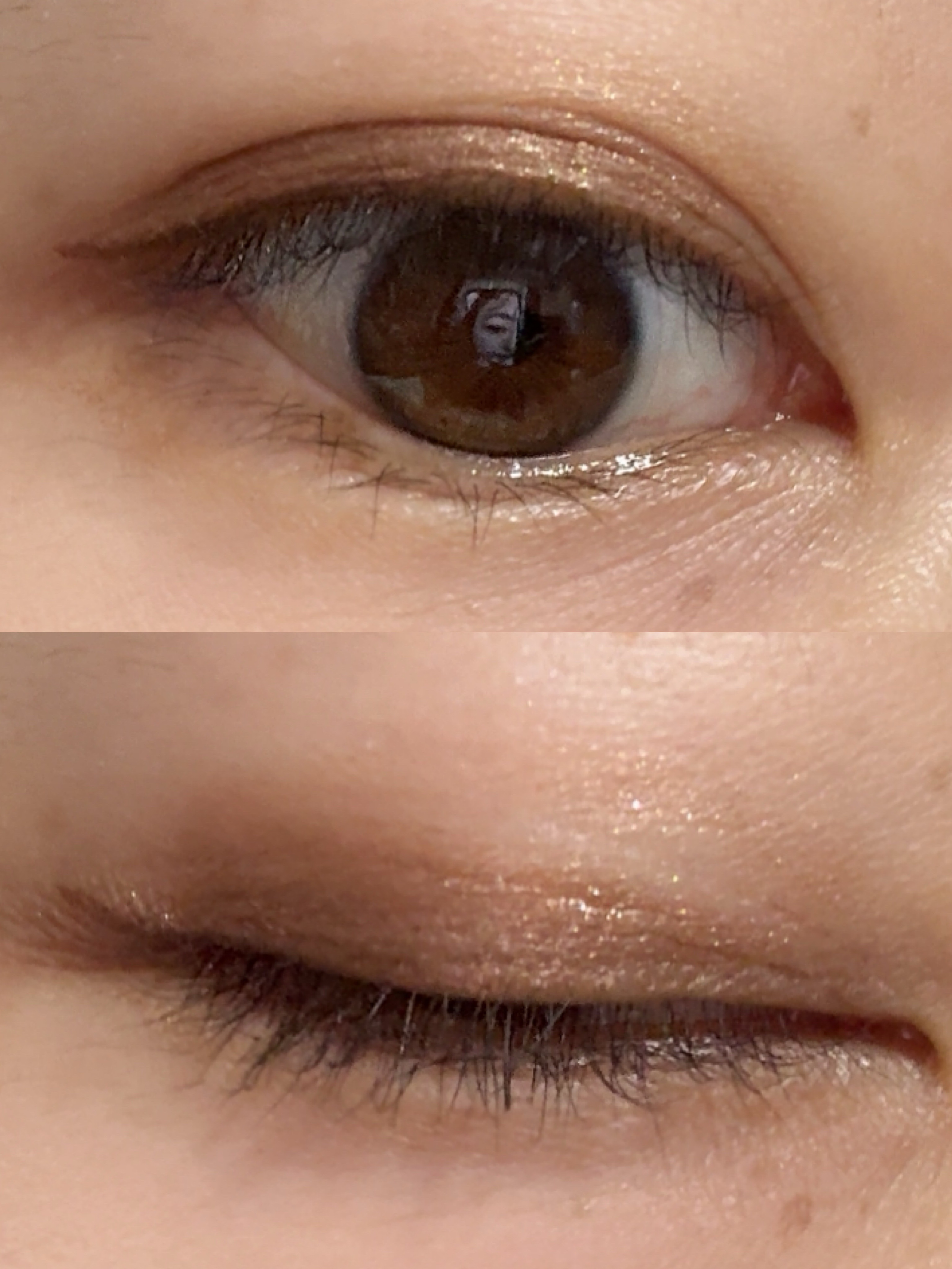 エレガンス ヌーヴェル アイズ/Elégance/アイシャドウパレットを使ったクチコミ（2枚目）