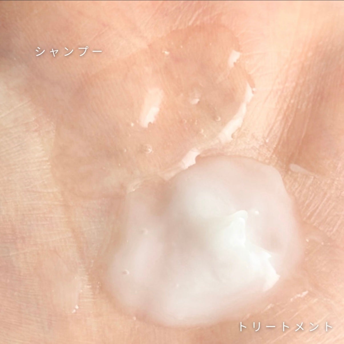 アデノバイタル シャンプー/サブリミック/サロンシャンプーを使ったクチコミ(3枚目)