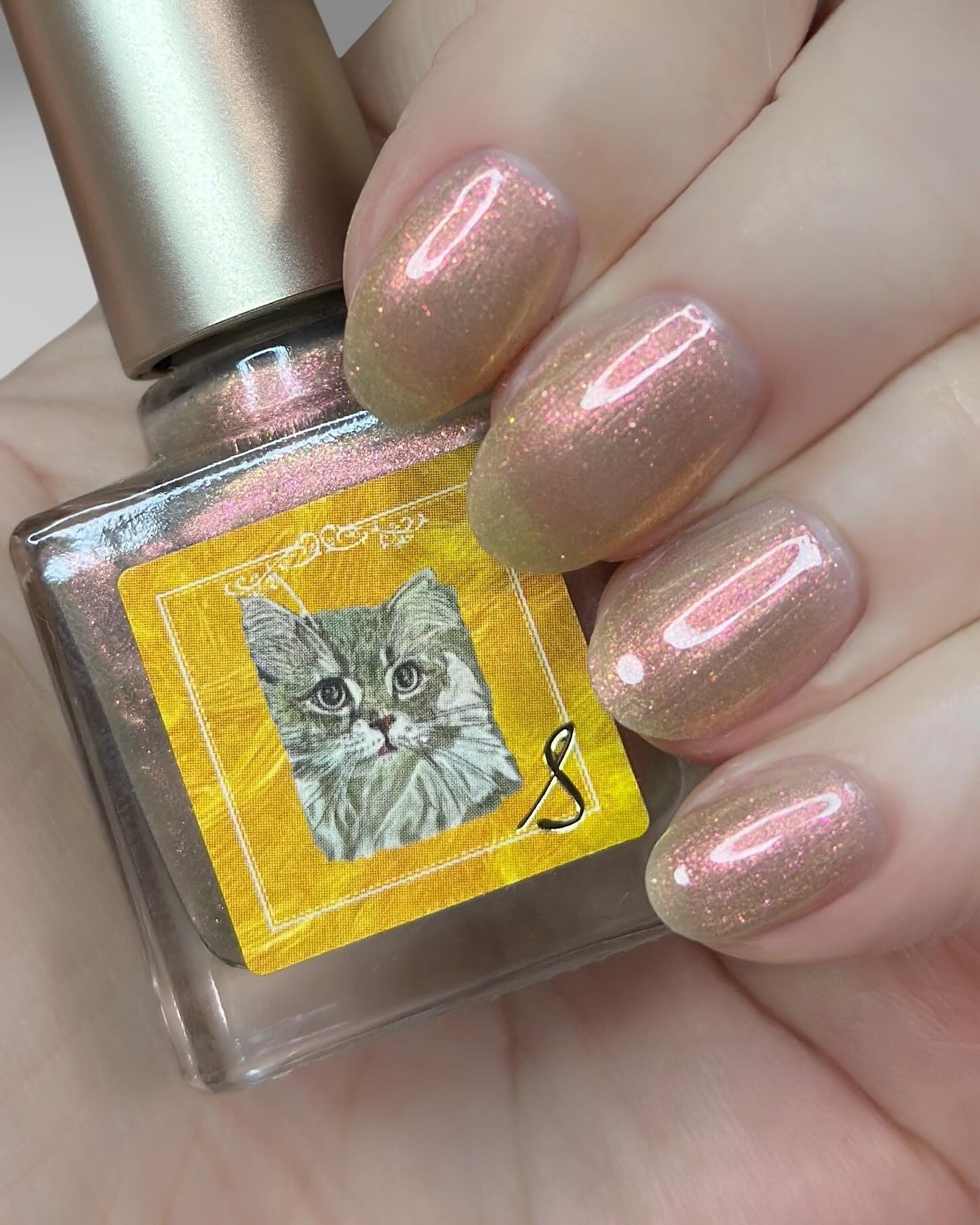 ネイルエス/ nail S(ネイルエス) /マニキュアを使ったクチコミ（1枚目）