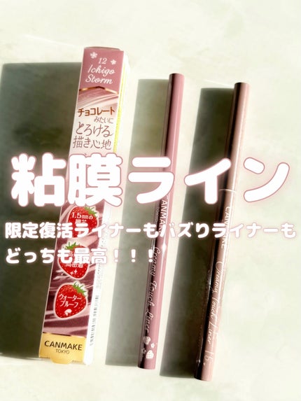 クリーミータッチライナー/キャンメイク/ジェルアイライナーを使ったクチコミ(1枚目)