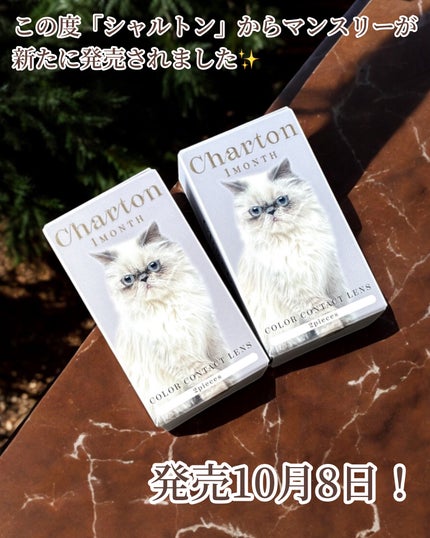 Charton 1day/Charton/ワンデー(1DAY)カラコンを使ったクチコミ(2枚目)