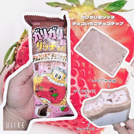 ガリガリ君リッチチョコいちごチョコチップ/赤城乳業/その他を使ったクチコミ(1枚目)