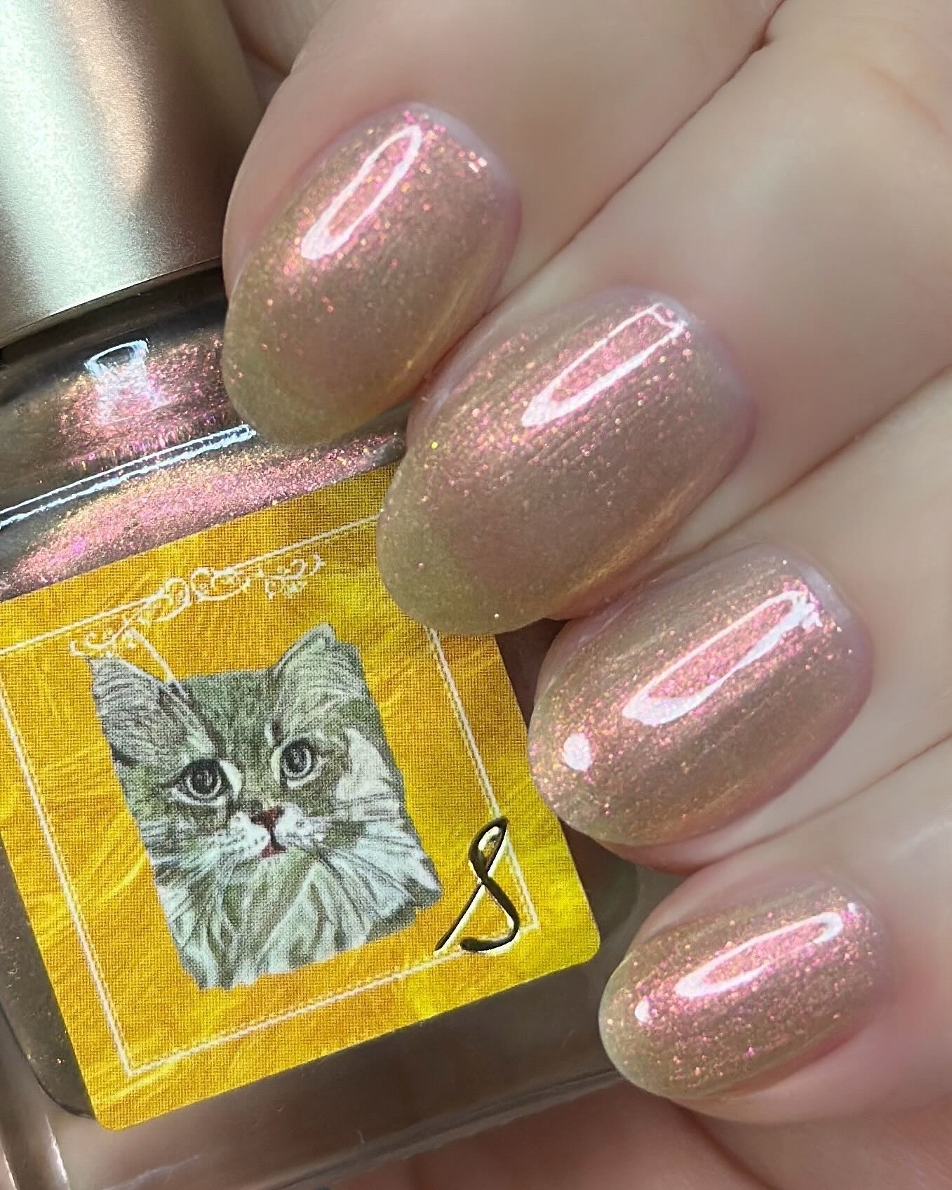 ネイルエス/ nail S(ネイルエス) /マニキュアを使ったクチコミ（3枚目）