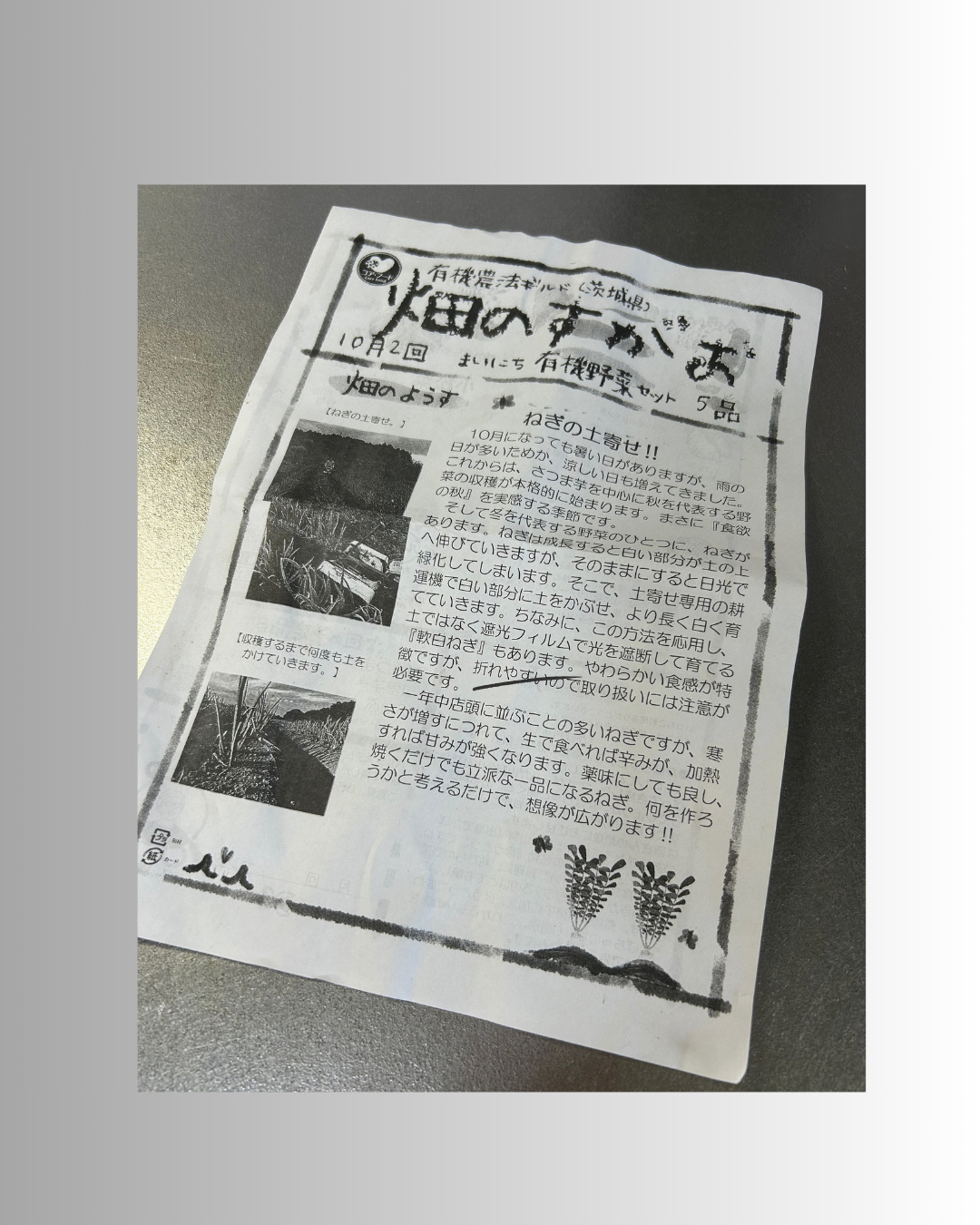 を使ったクチコミ（3枚目）