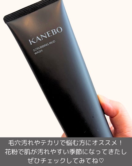 スクラビング マッド ウォッシュ/KANEBO/洗顔フォームを使ったクチコミ(5枚目)