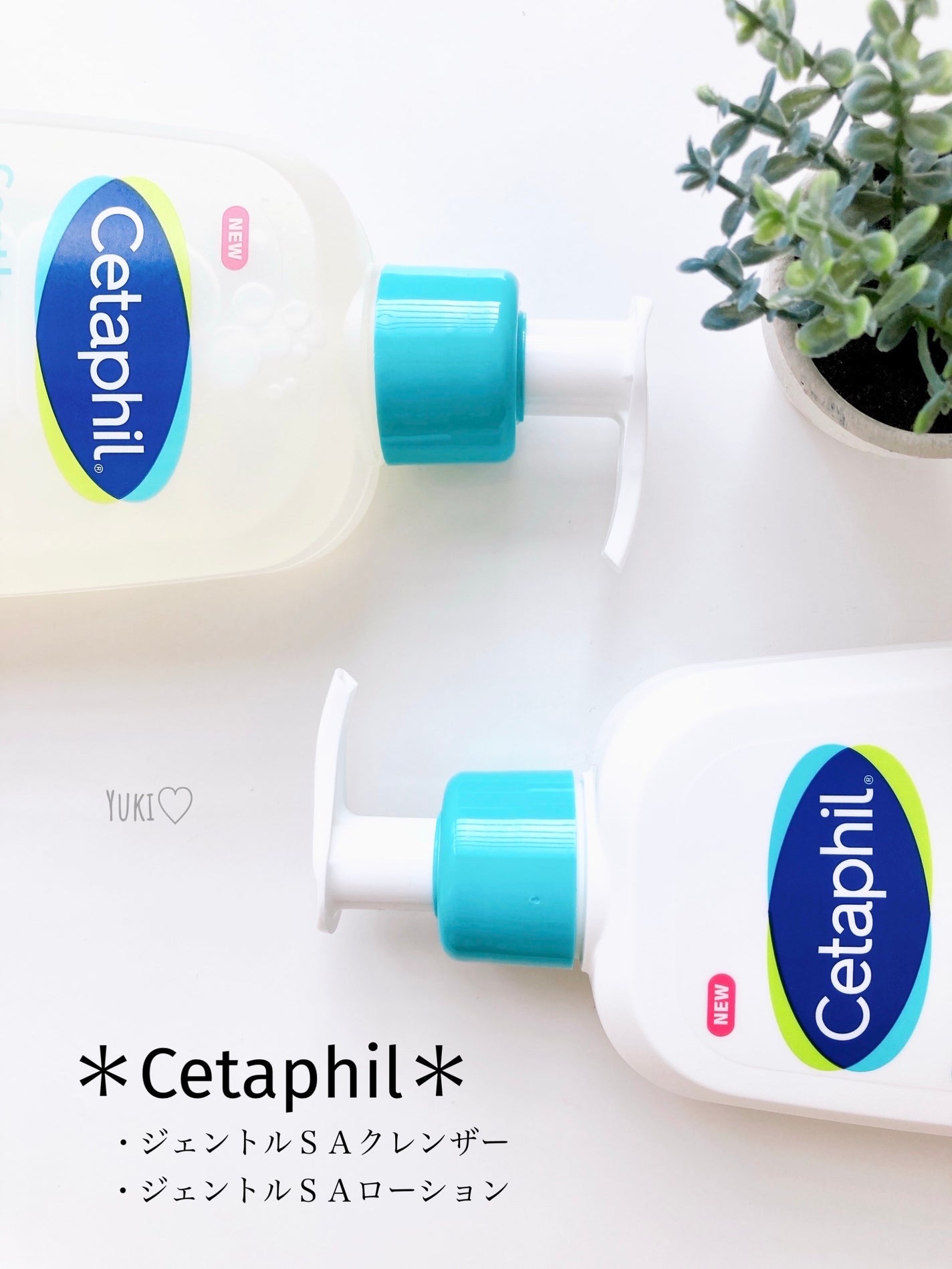 セタフィル ジェントルSAクレンザー/セタフィル/ピーリングを使ったクチコミ(1枚目)